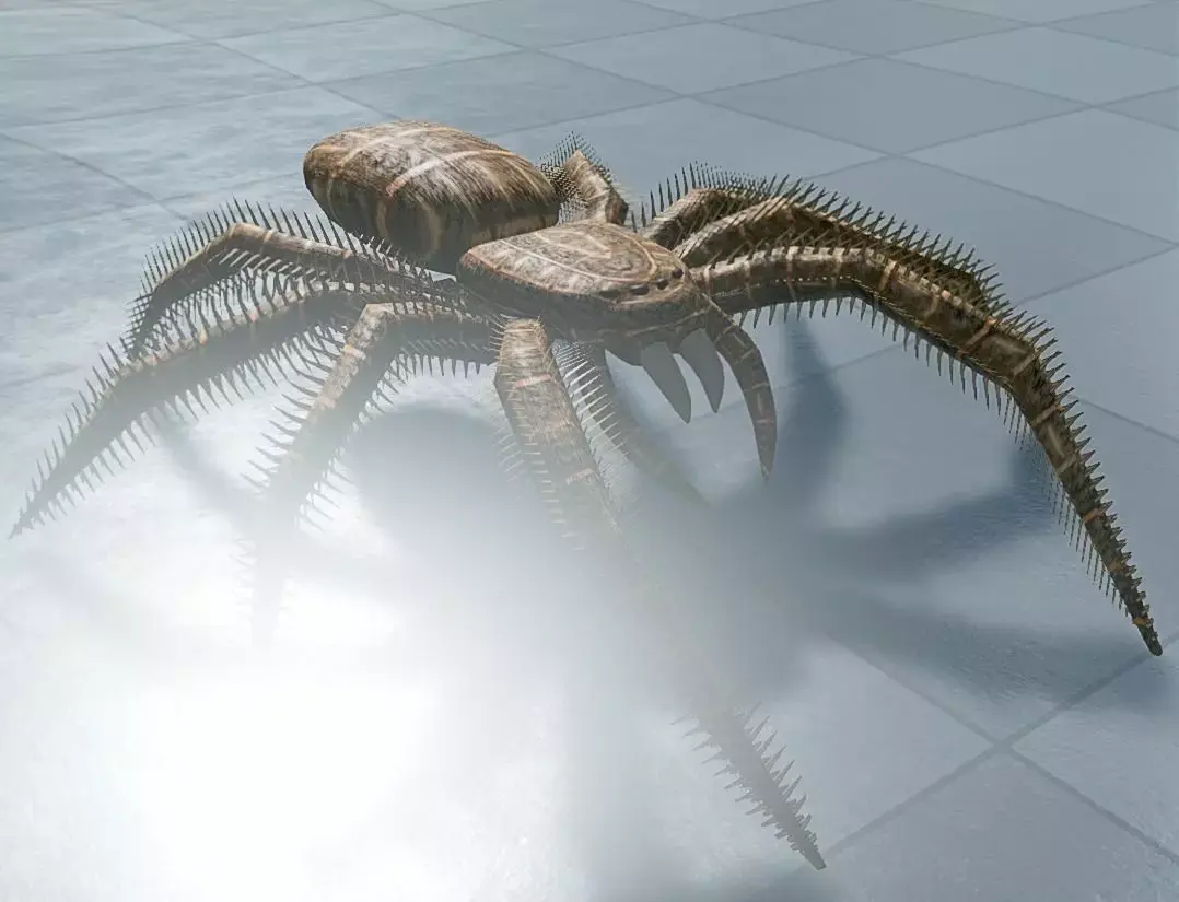 Spider Rigged and Game Ready Low-poly 3D model