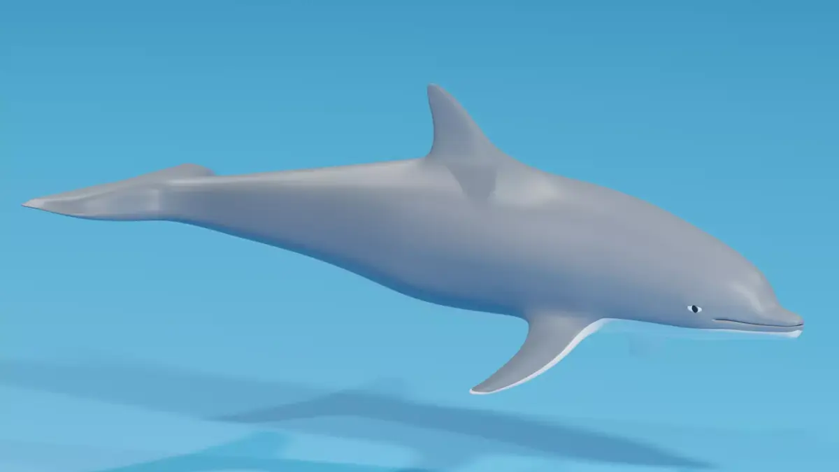 Cartoon Dolphin 3D model buy
