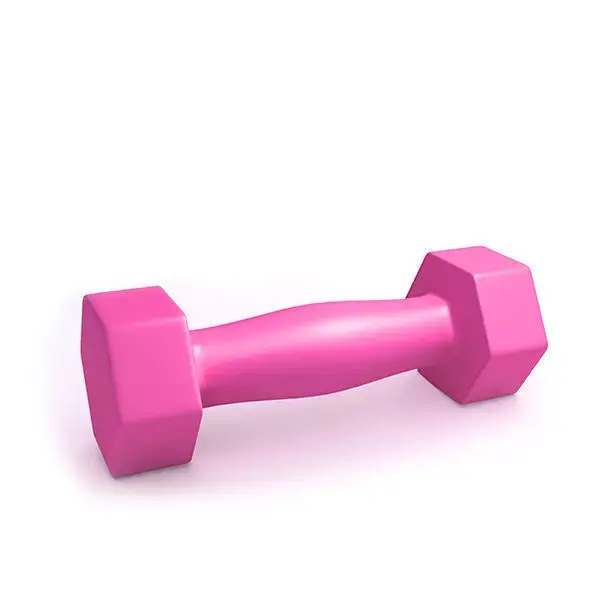 Fitness weight 3D model