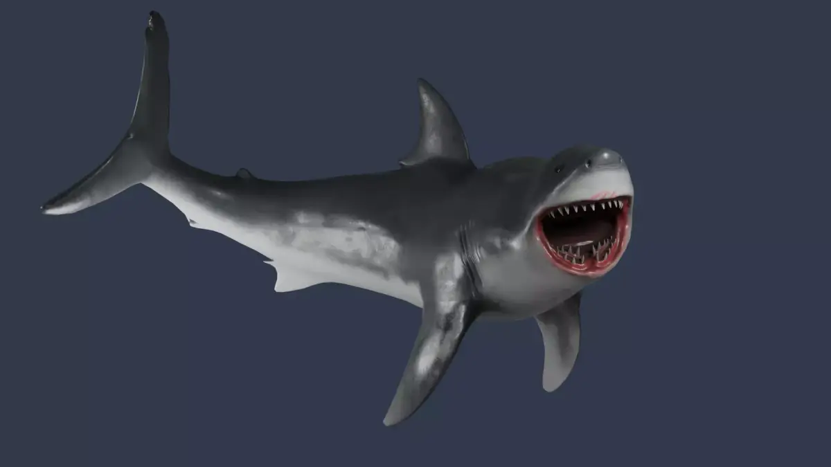  Great White Shark Rigged in Blender  Low-poly 3D model