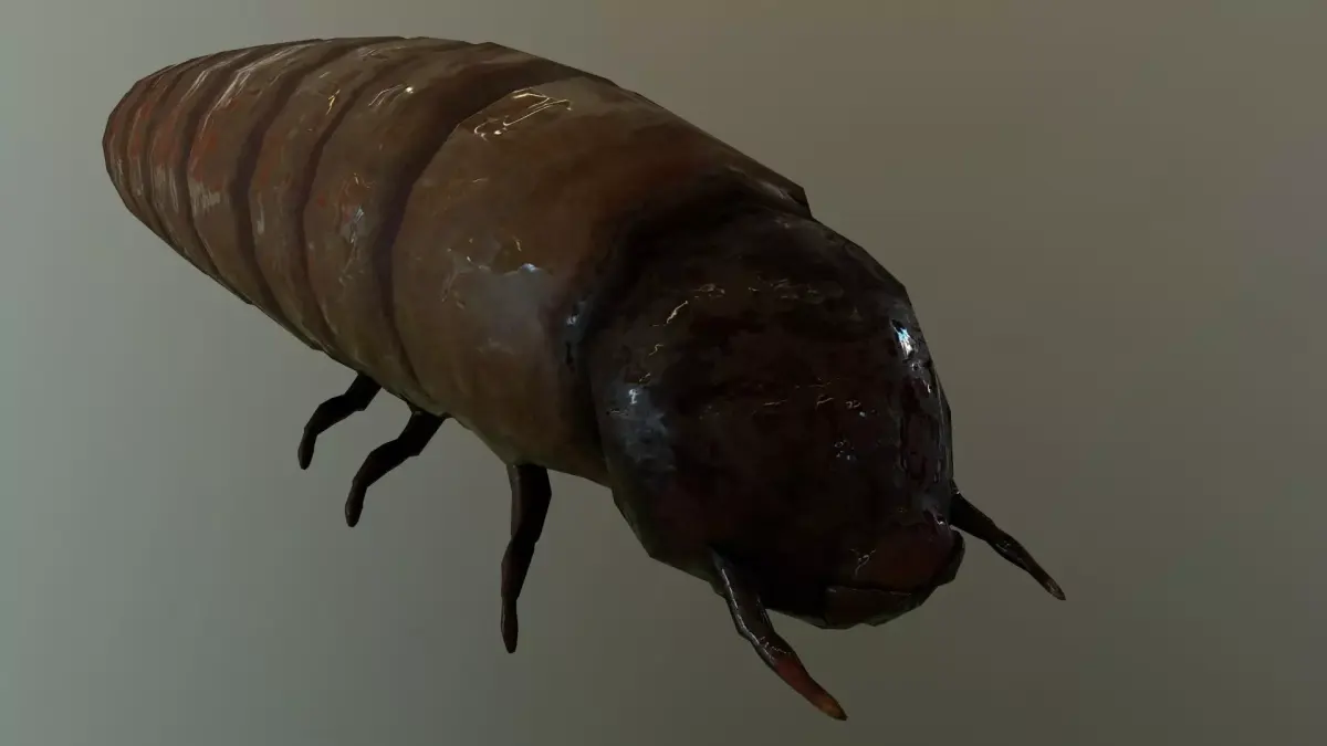 Worm Maggot Low-poly 3D model