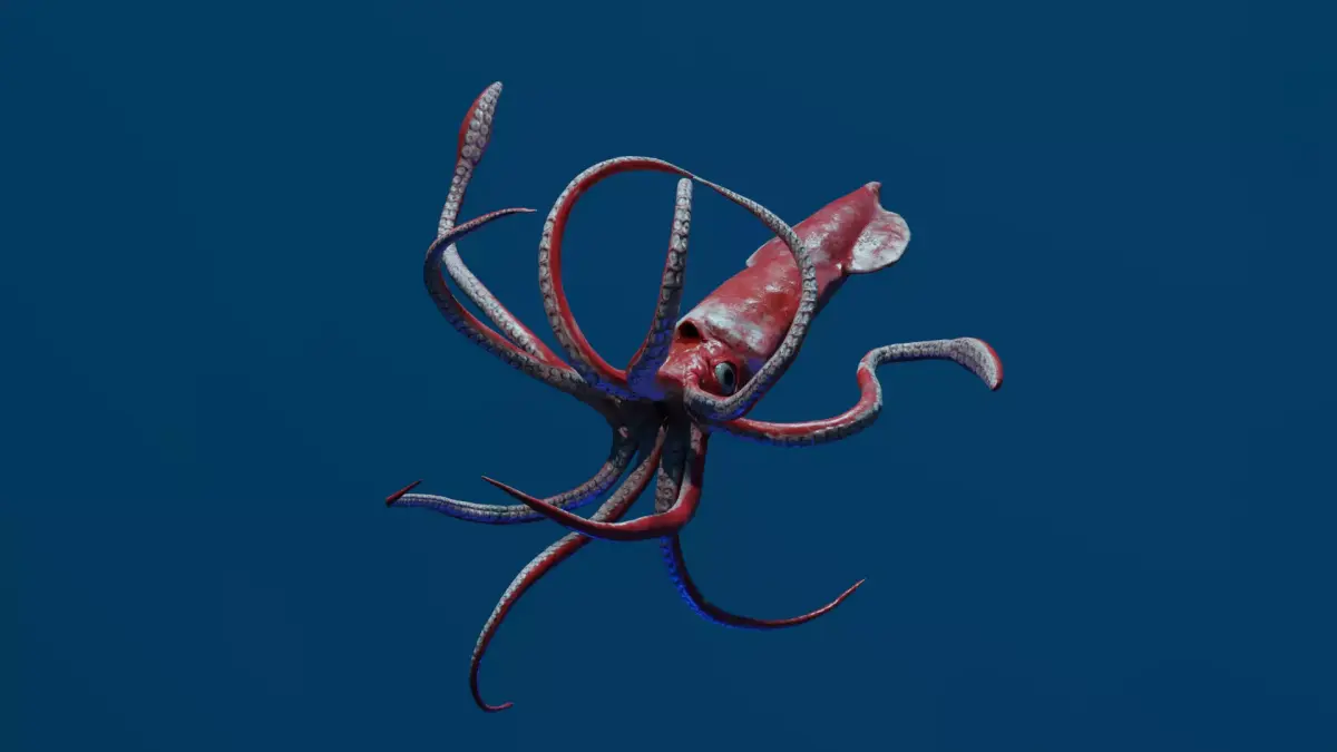 Giant Squid Low-poly 3D model buy