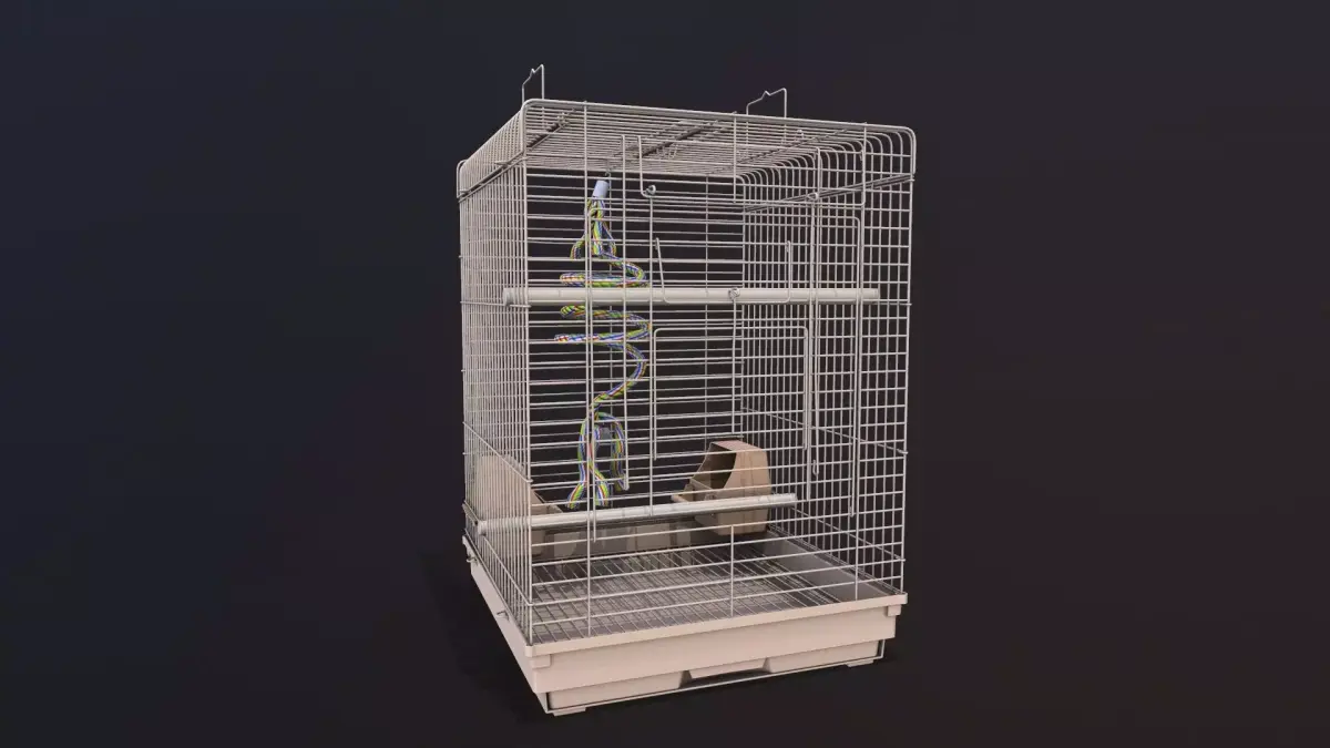 Bird Cage 3D model 5