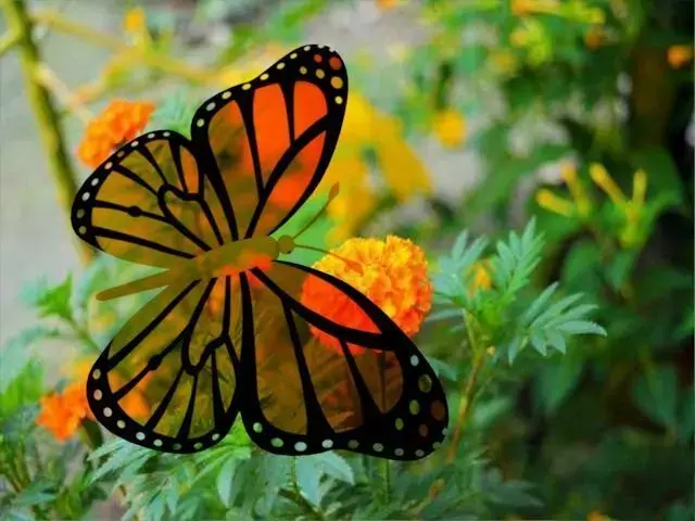 Butterfly Animation Model Low-poly 3D model