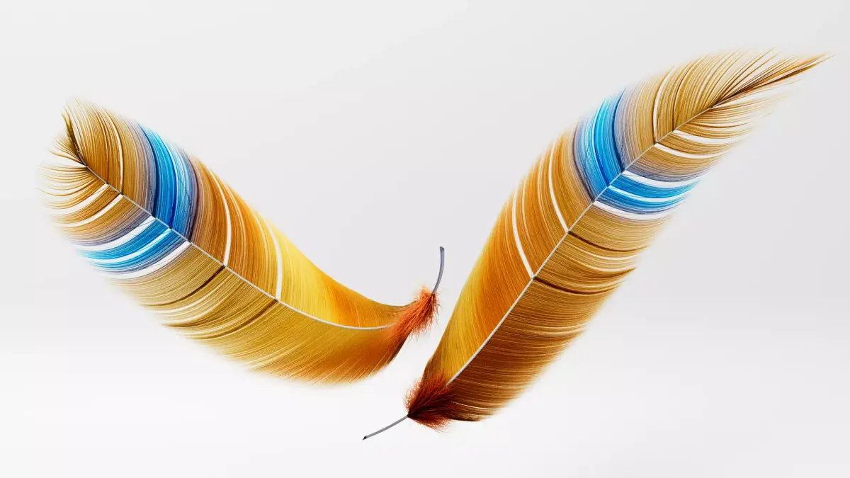Set of 8 high quality feathers 3D model