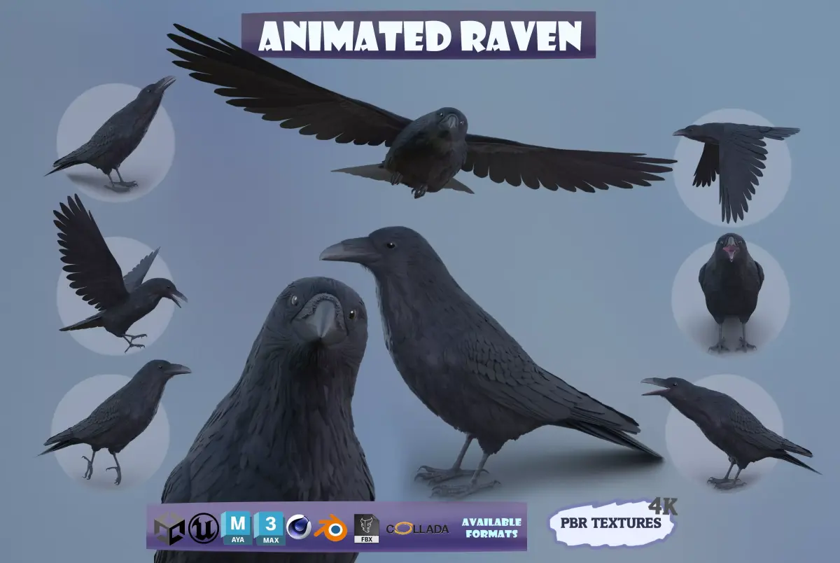 Realistic Animated Raven Low-poly 3D model