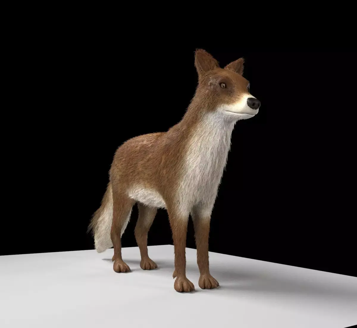 Fox animal Low-poly 3D model purchase