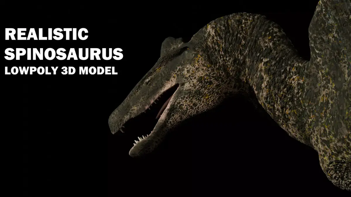 Spinosaurus Realistic 3D Model Low-poly 3D model
