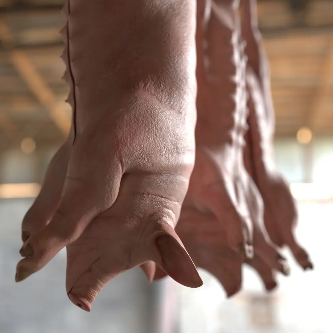Slaughtered Pig Carcass Hanging for Blender 3D model