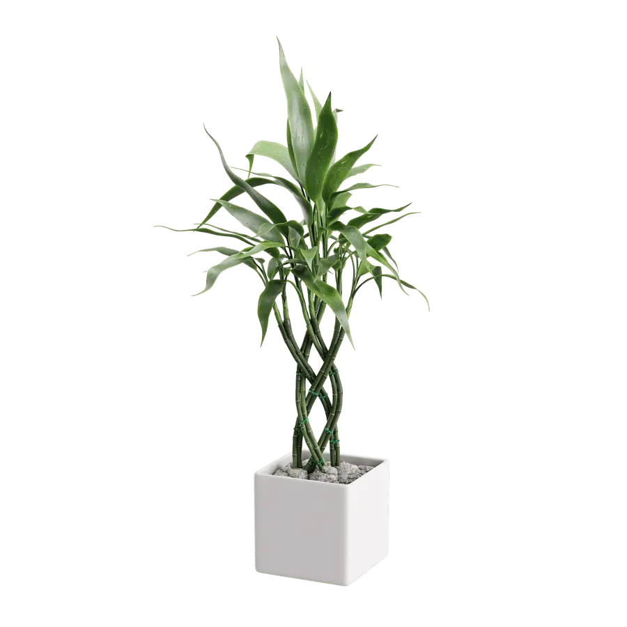 Bamboo Trellis Plant Model  purchase