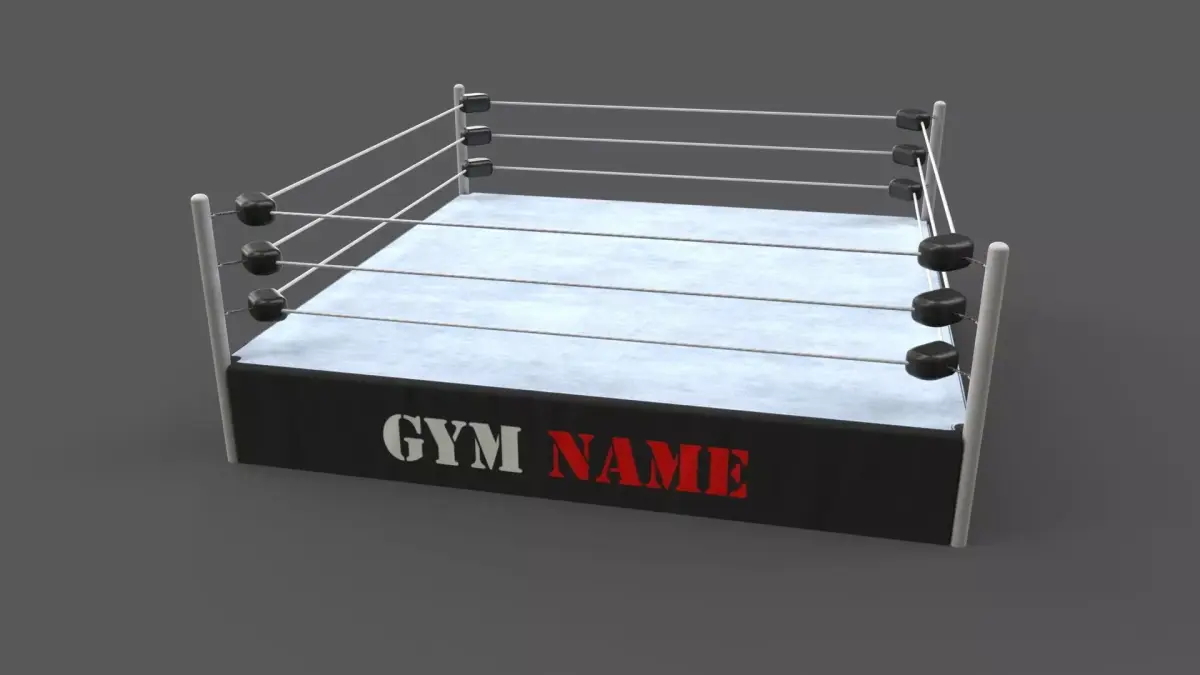 PBR Modular Professional Wrestling Rings 20ftx20ft Low-poly 3D model