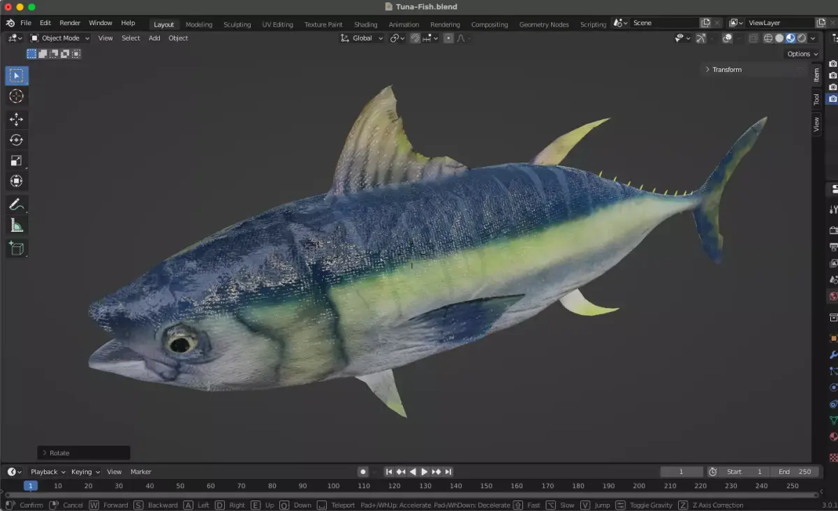 Tuna Fish Low-poly 3D model purchase