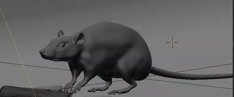 Rat model 3D model