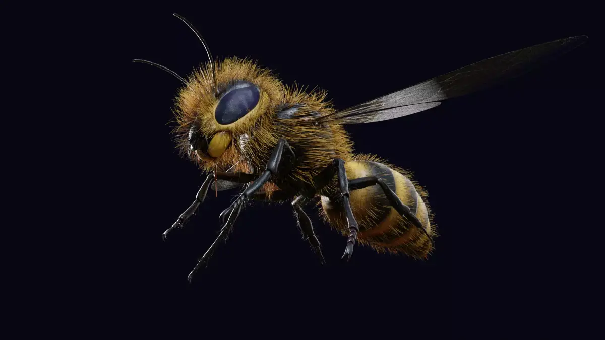 Animated Worker Bee  Rig  Flight Cycle  4K PBR   3D model