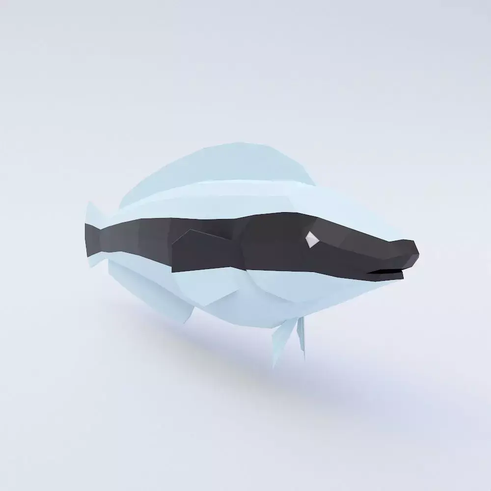 False cleanerfish low poly 3d model  Low-poly 3D model