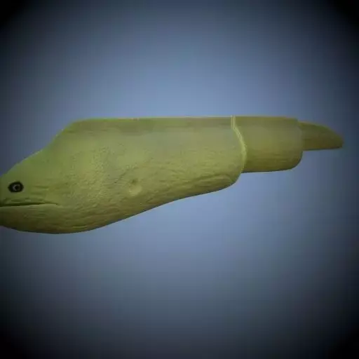 Green Eel 3D model