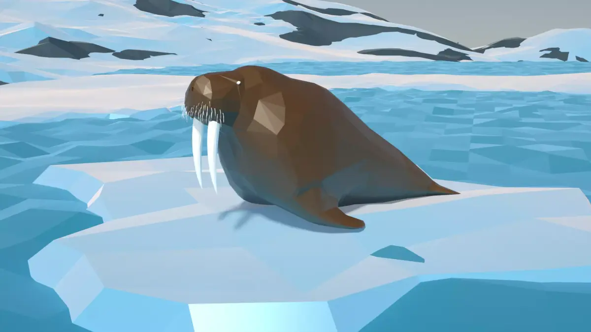 Walrus Low Polygon Animal Arctic sea ocean Low-poly Low-poly 3D model