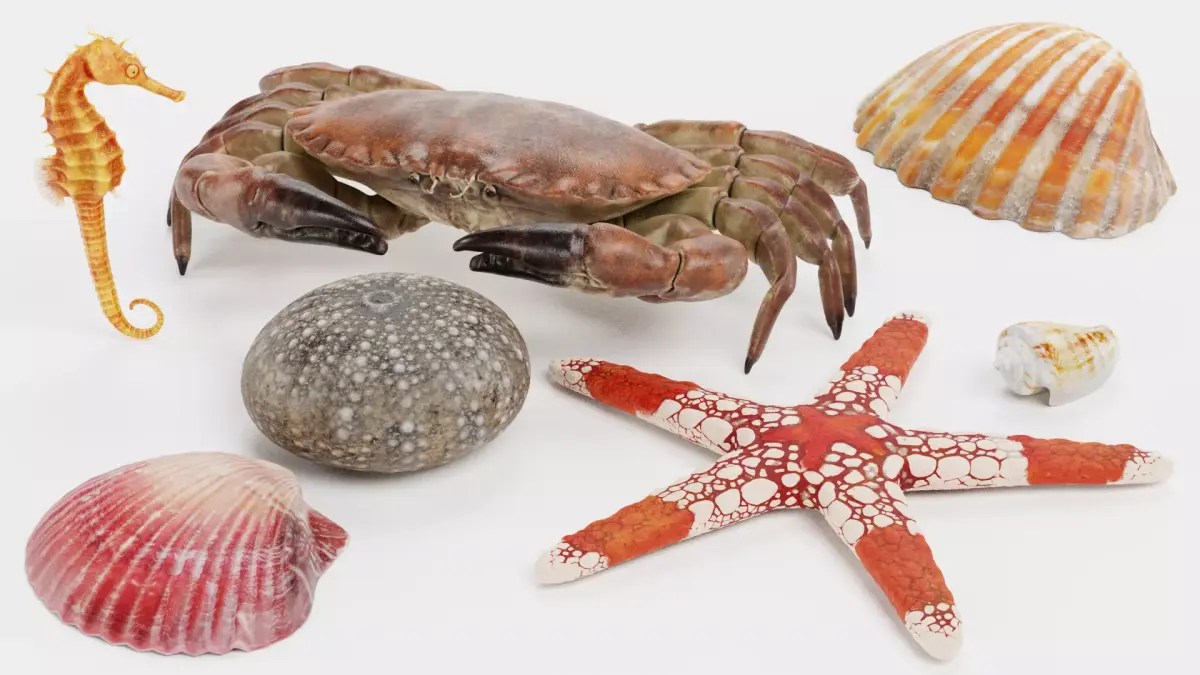-Sealife Set- 3D model