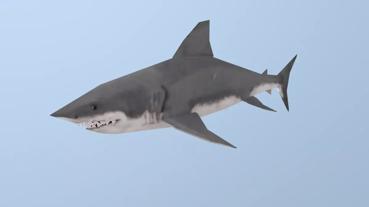 Shark great Low-poly 3D model
