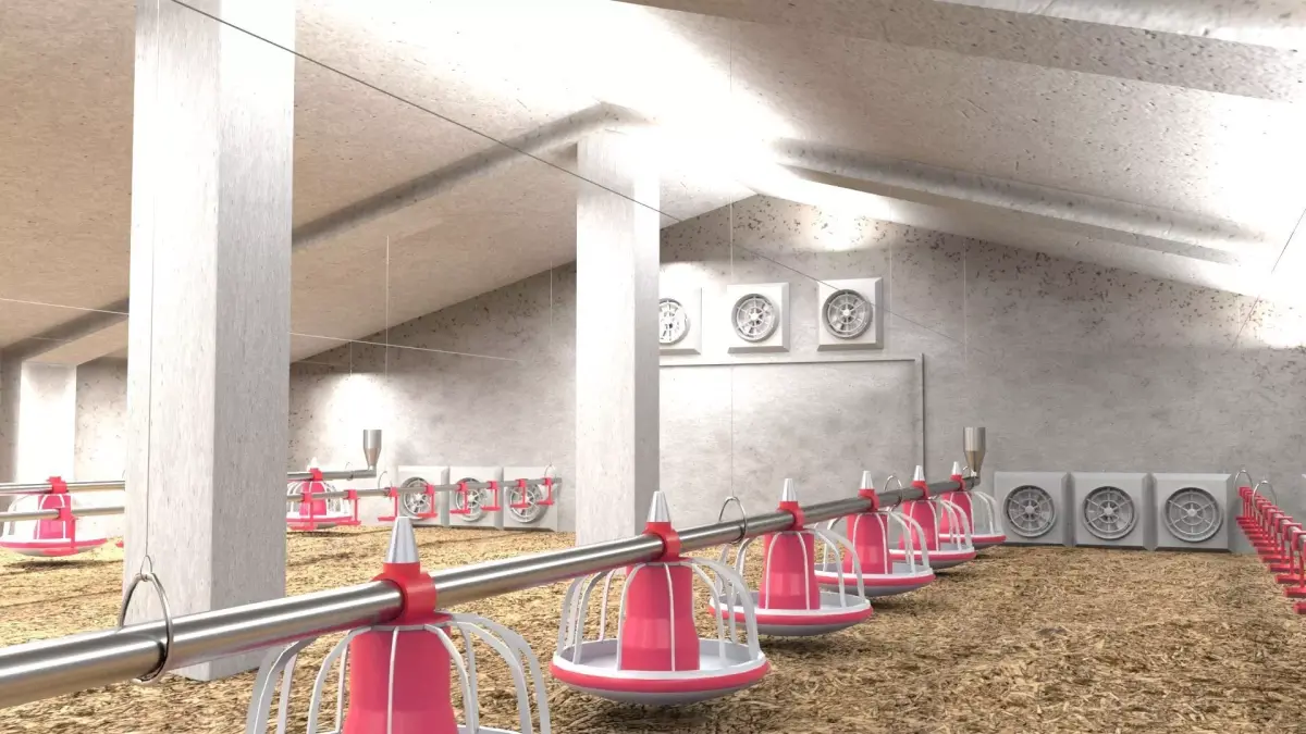 Poutry farm feeder drinker sawdust 3D model