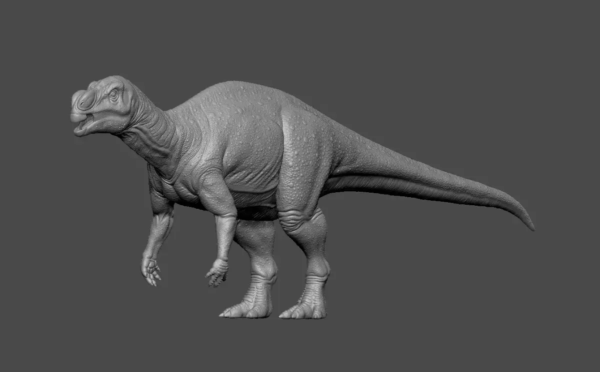 Muttaburrasaurus Dinosaur 3D model