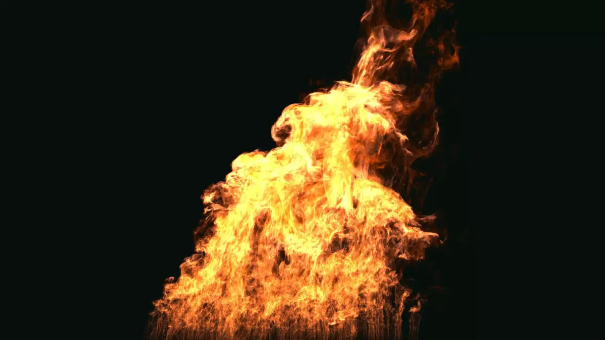 FumeFX Large Scale Fire 3D model