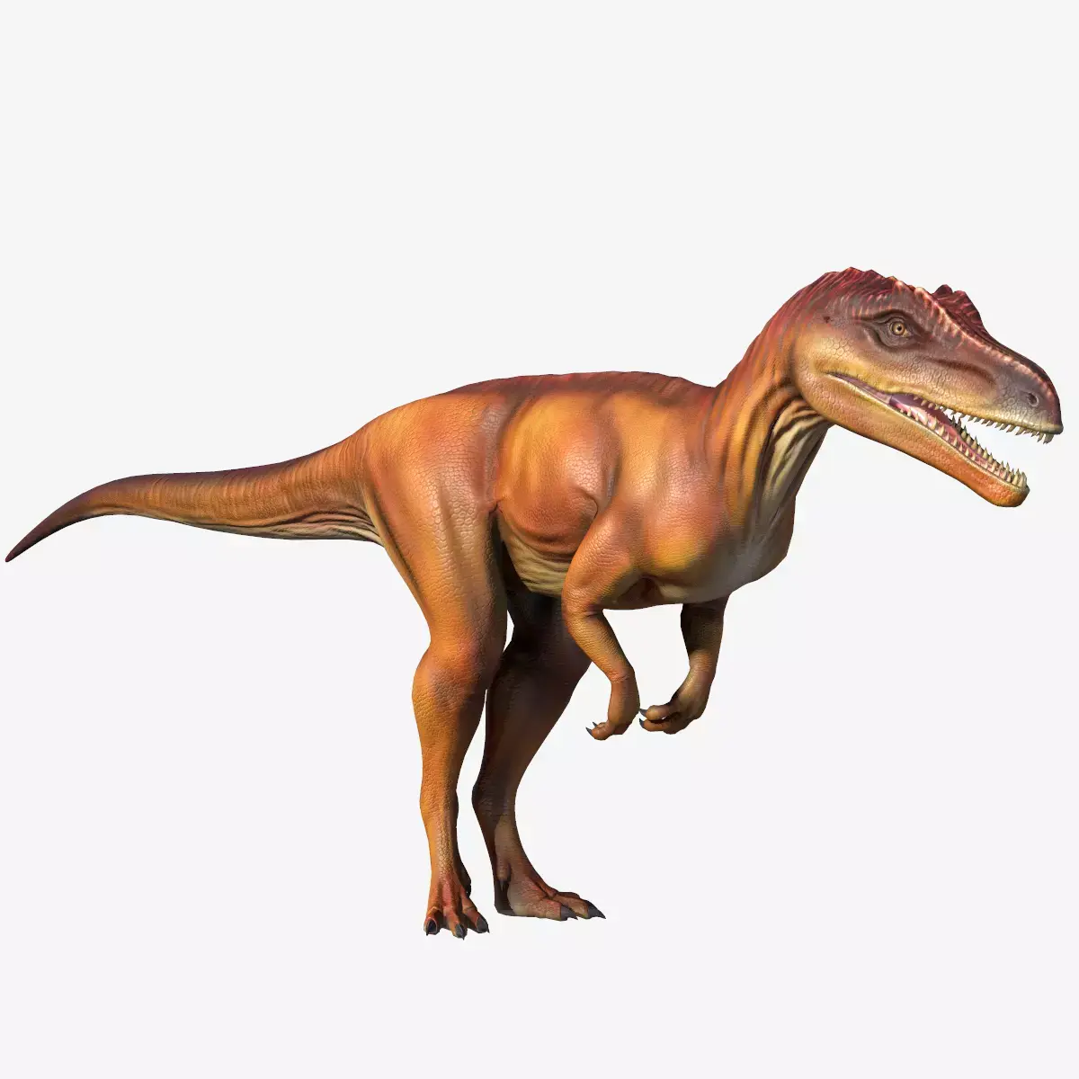 Deltadromeus dinosaur Low-poly 3D model