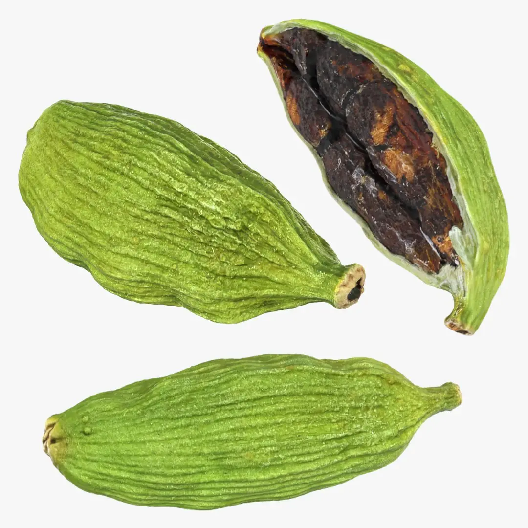 Green Cardamom Collection 3D model