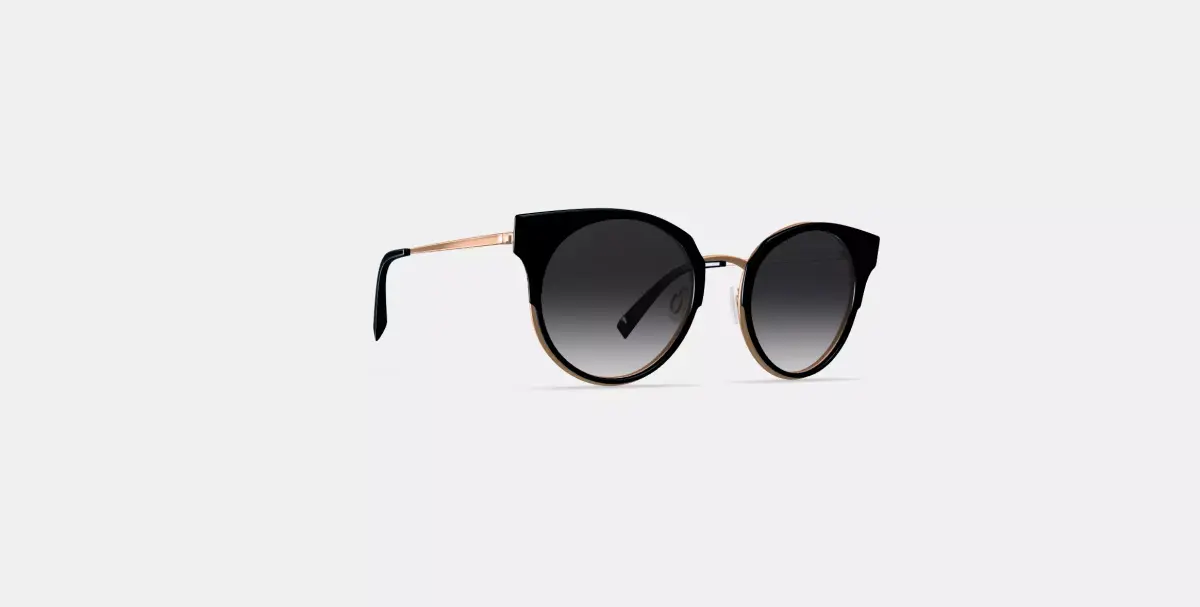 Cleo Sunglasses in Jet Black with Rose Gold 3D model