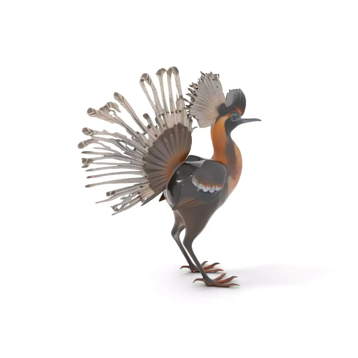 Elegant Crested Bird model pack Low-poly 3D model