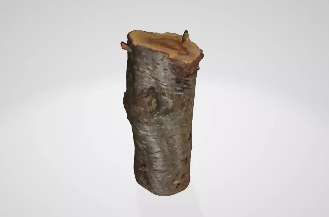 Treetrunk tree trunk 3D model
