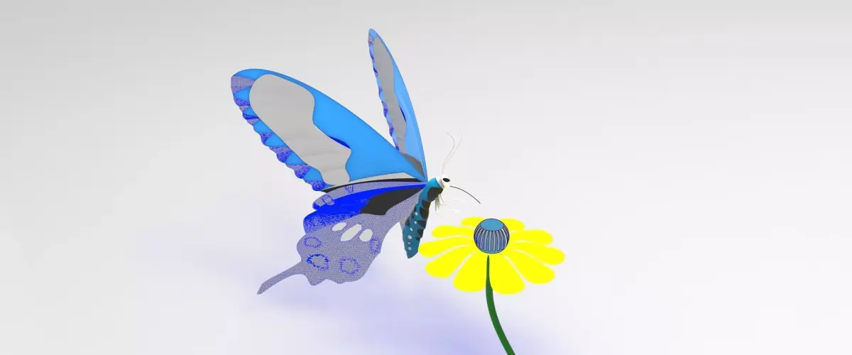 Butterfly 3D model 6