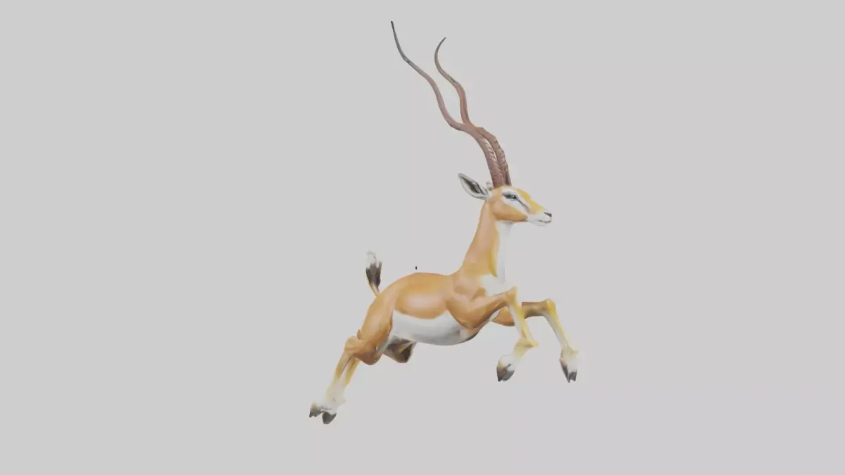 Springbok hopping model 3D model