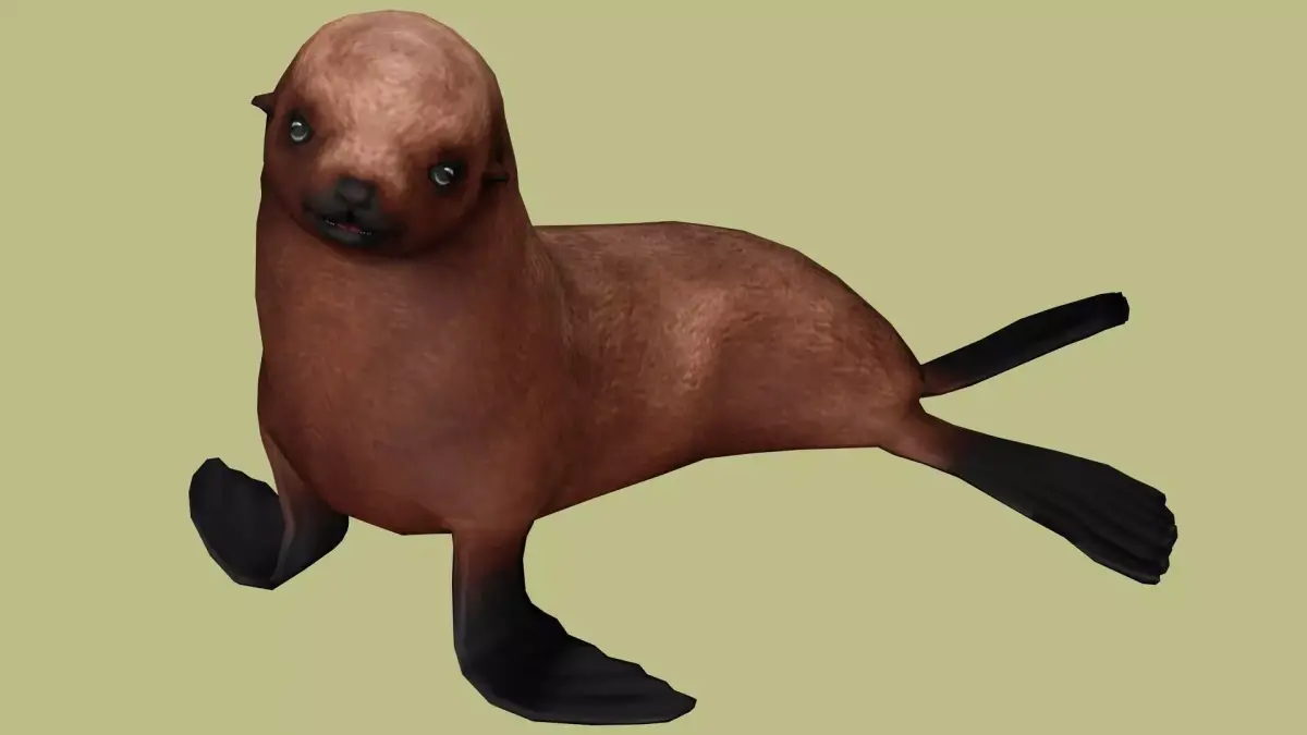 SEAL RIGGED ANIMATED 3 Low-poly 3D model