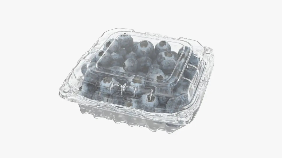 Blueberry Package 3D model