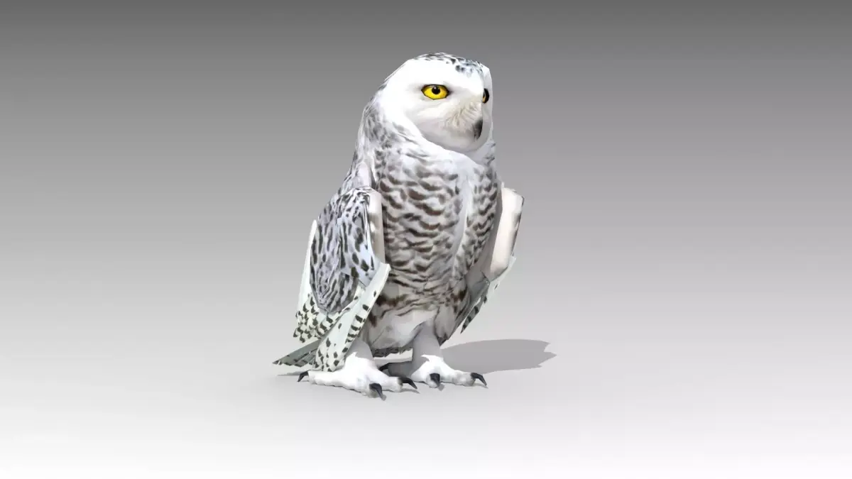 Snowy Owl Low-poly 3D model