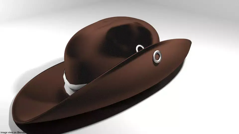 Hat - Slouch 3D model