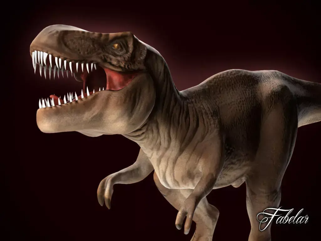 Tyrannosaurus Rex Low-poly 3D model 13