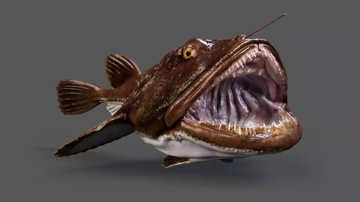 European angler Animated 3D model
