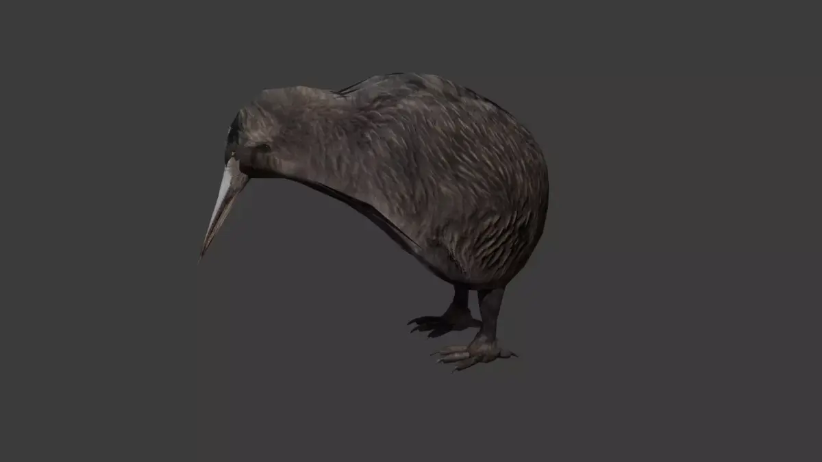 Classic Kiwi BIrd Low-poly 3D model