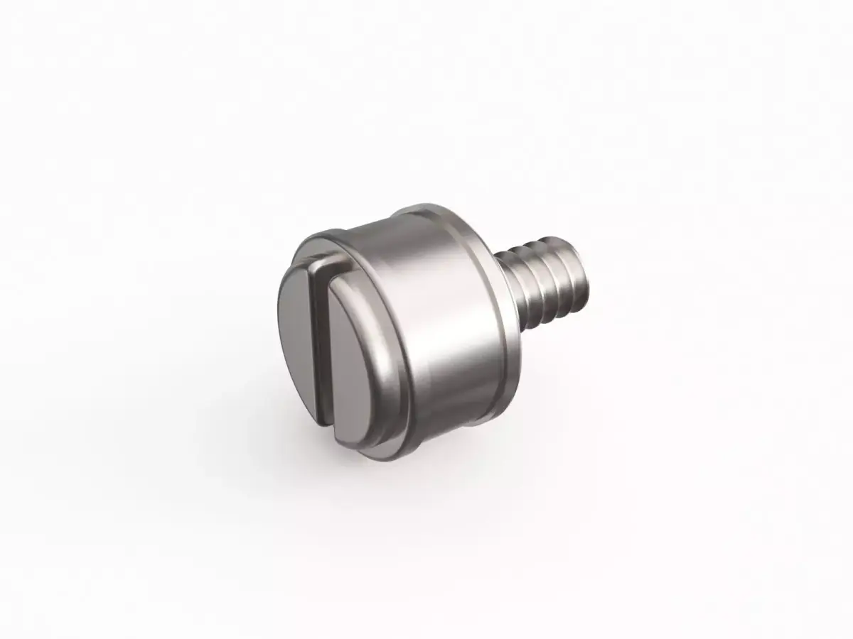Screw 10 3D model