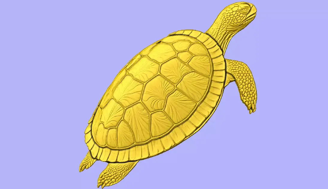 TARTARUGA 3D model