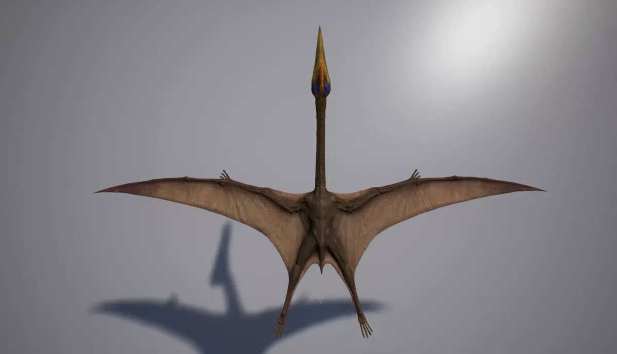 Quetzalcoatlus dinosaur flying in air Low-poly 3D model