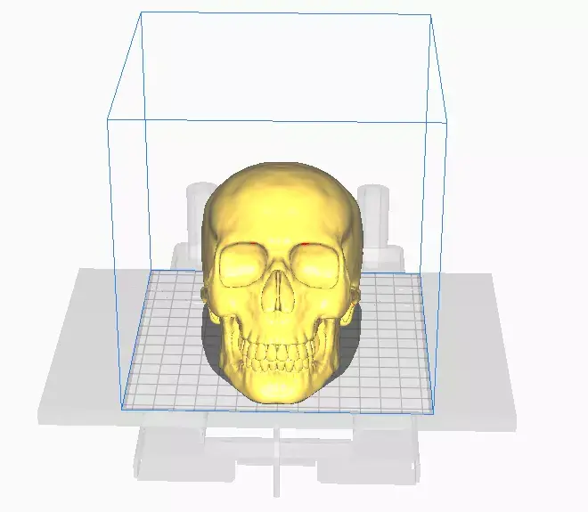 skull in box Free 3D print model