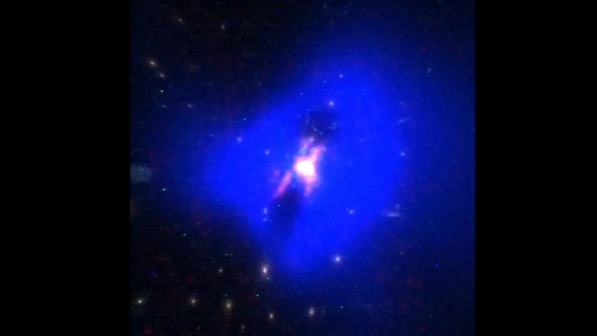 Phoenix Cluster 3D model buy