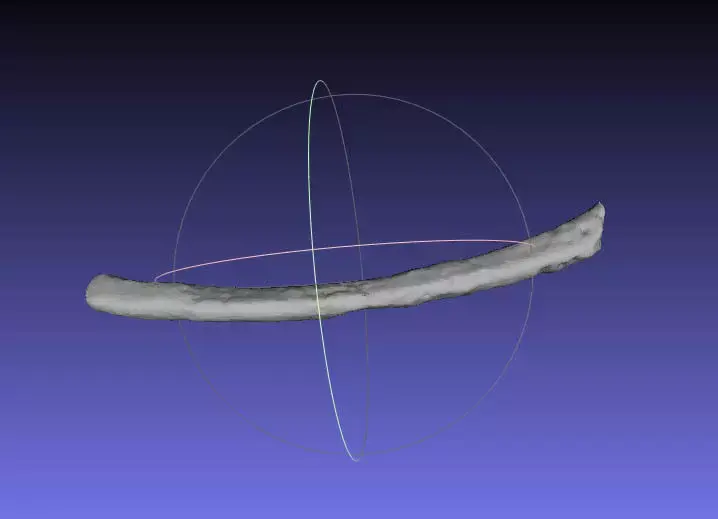 Psittacosaurus Right Dorsal Rib 5 Free 3D print model