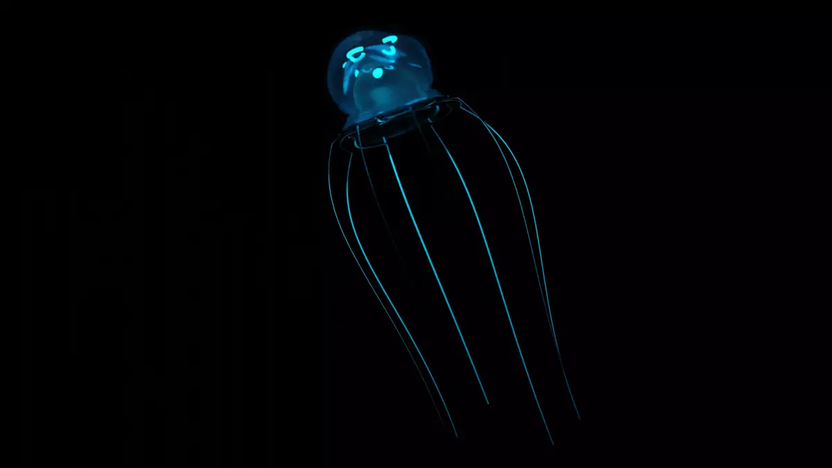 Jellyfish glowing 3D model