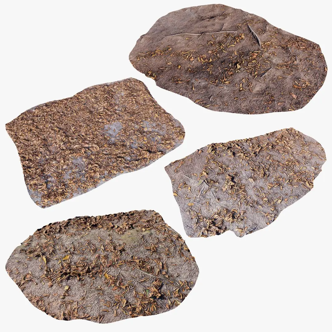 Forest Ground Collection 3D model
