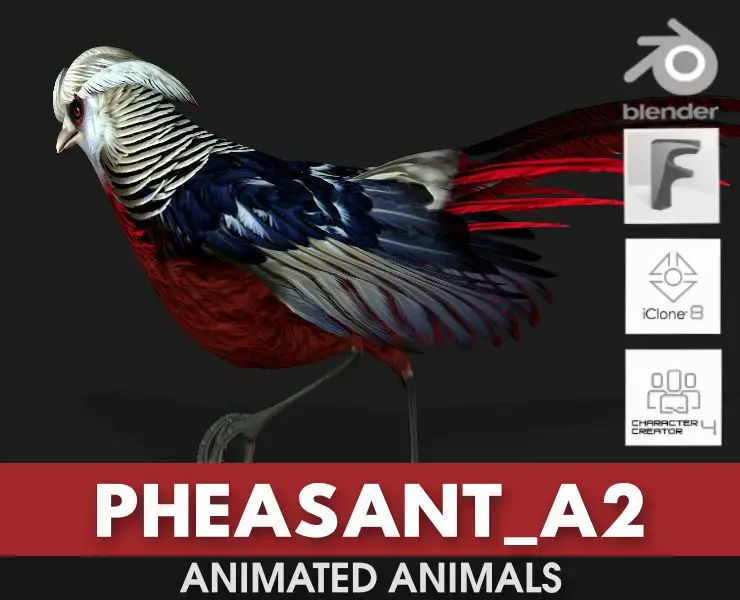 Pheasant A2 3D model