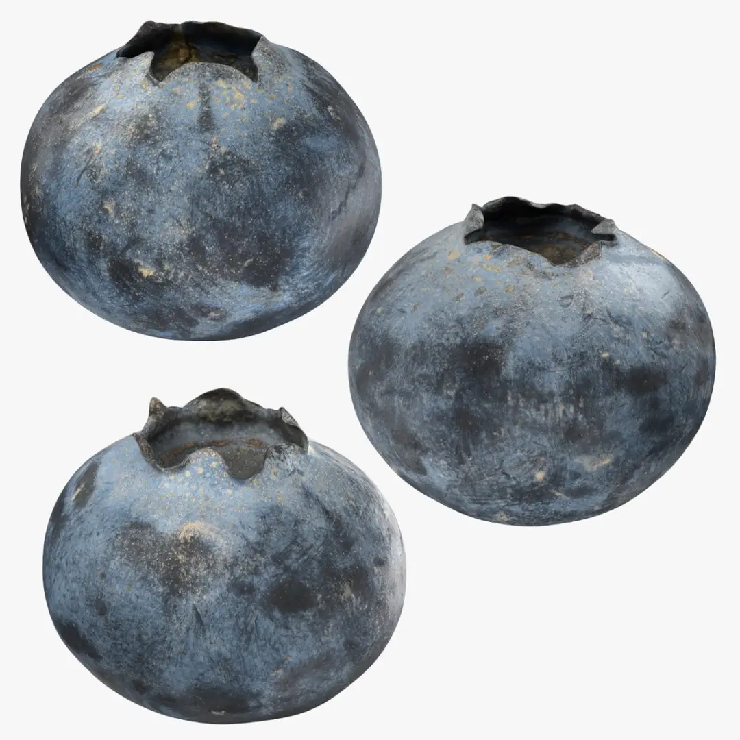 Blueberry - 3D Scanned Collection 3D model